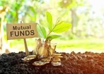 Mutual Fund Investors Focus on Long-Term Wealth Creation Through Disciplined Investment Strategies